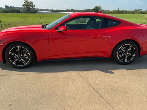 Used 2024 Ford Mustang Premium image 6