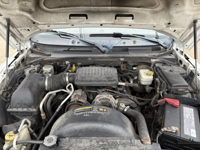 Used 2011 Dodge Dakota Big Horn RWD image 12