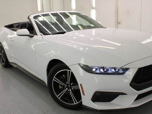 Used 2025 Ford Mustang Premium RWD image 14