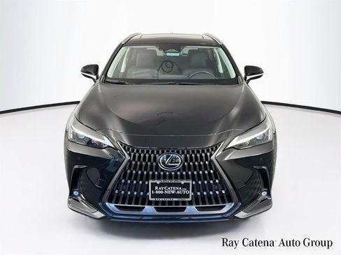 Certified 2024 Lexus NX 350 AWD image 2