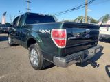 Used 2014 Ford F150 XLT w/ XLT Chrome Package image 3