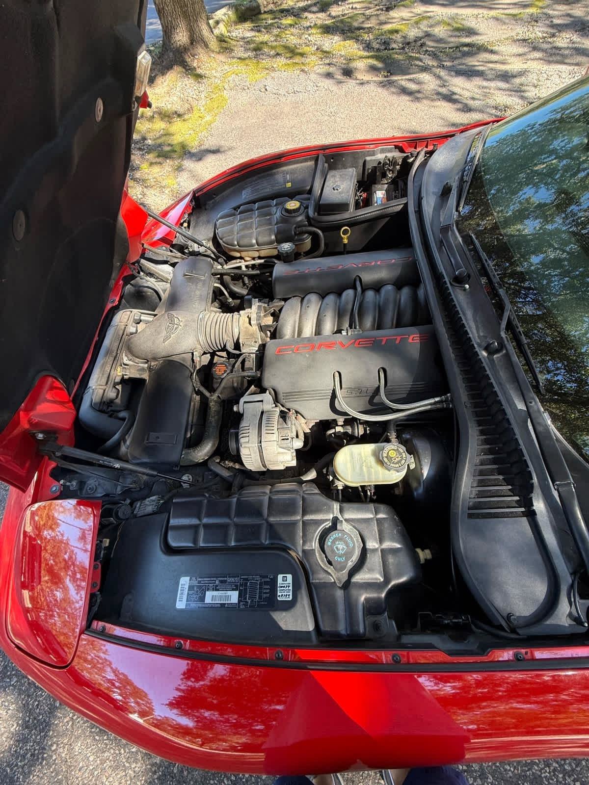 Used 1998 Chevrolet Corvette Coupe RWD image 15