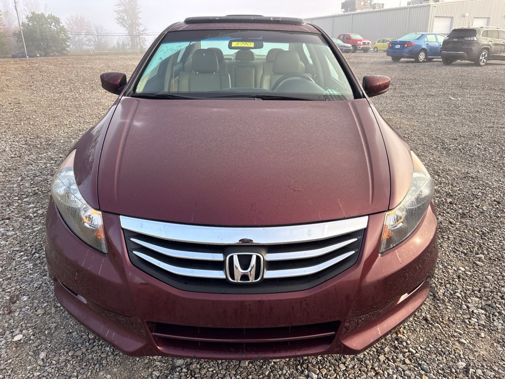 Used 2012 Honda Accord EX-L image 2