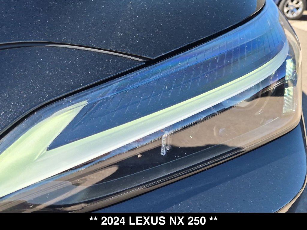 Used 2024 Lexus NX 250 AWD w/ Cold Area Package image 16