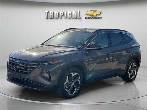 Used 2024 Hyundai Tucson Limited image 1