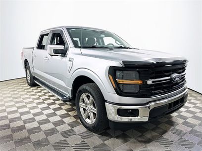 Used 2024 Ford F150 XLT w/ Equipment Group 302A MID