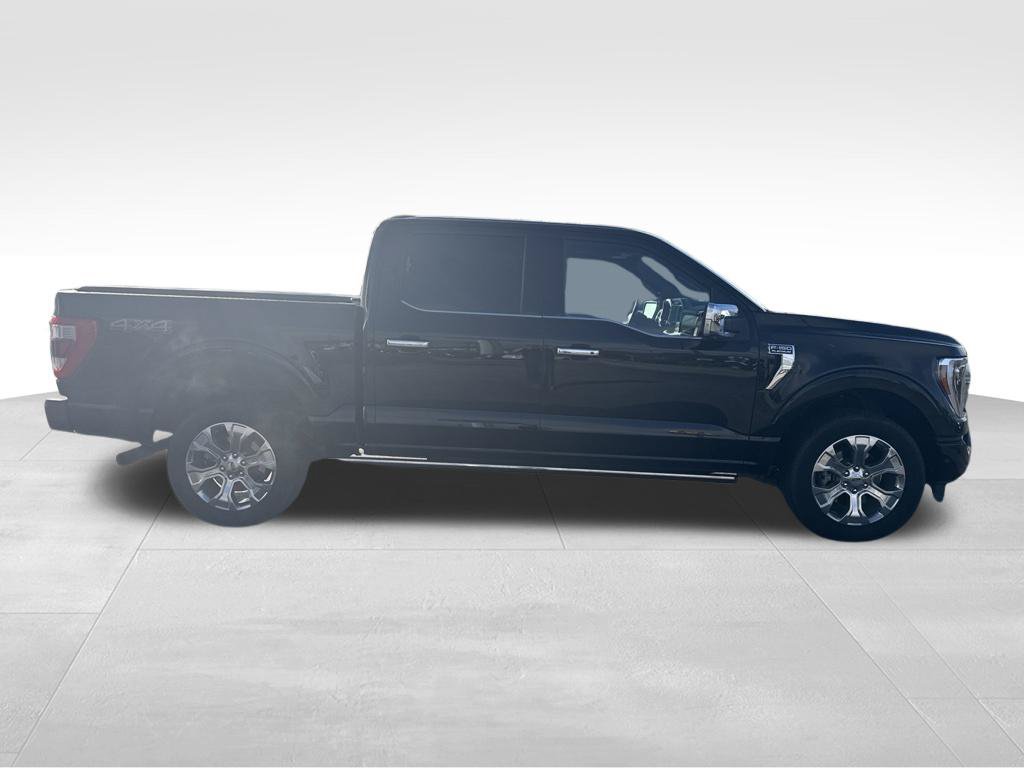 Used 2021 Ford F150 Platinum w/ Equipment Group 701A High AWD/4WD image 7