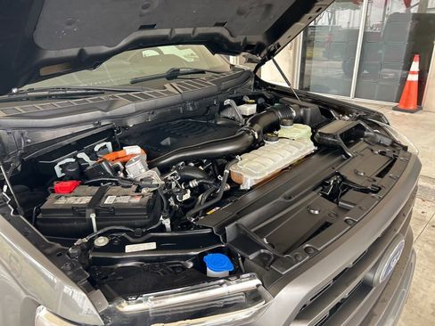 Used 2023 Ford F150 XLT w/ Equipment Group 302A High image 13