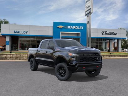 New 2026 Chevrolet Silverado 1500 Custom Trail Boss