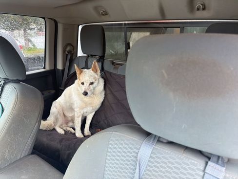 Used 2019 RAM 1500 Tradesman w/ Popular Equipment Group image 3