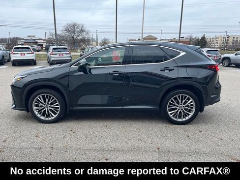 Used 2023 Lexus NX 350h AWD w/ Premium Package image 2