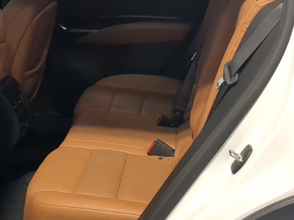 Used 2024 Cadillac XT4 Premium Luxury AWD/4WD image 19