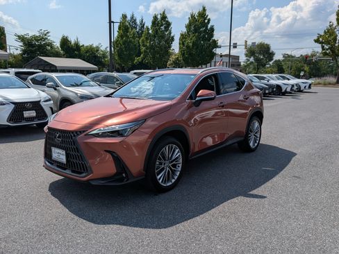 Certified 2025 Lexus NX 350h AWD w/ Cold Area Package image 7