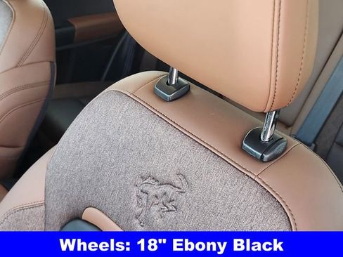 New 2026 Ford Bronco Sport Outer Banks w/ Outer Banks Tech Package+ AWD/4WD image 15