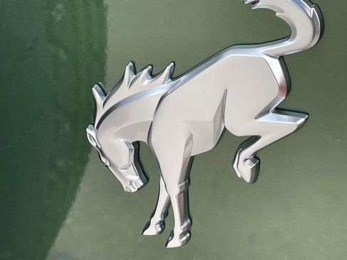 New 2025 Ford Bronco Big Bend image 9