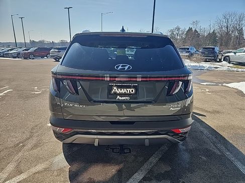 Used 2024 Hyundai Tucson Limited image 4