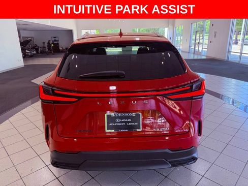 Certified 2024 Lexus NX 250 FWD w/ Cold Area Package image 6