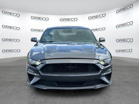 Used 2019 Ford Mustang Premium w/ Equipment Group 201A RWD image 2
