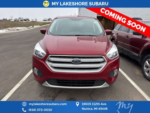 Used 2019 Ford Escape SE image 2
