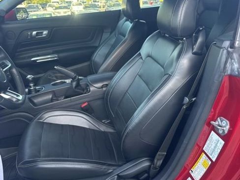 Used 2020 Ford Mustang GT Premium w/ Equipment Group 401A RWD image 9