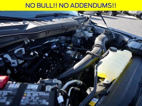 New 2025 Ford F150 STX w/ Equipment Group 200A image 33