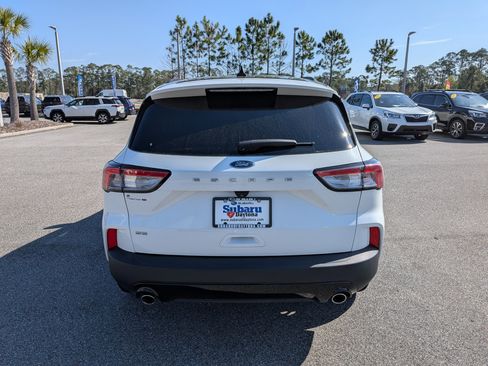 Used 2022 Ford Escape SE w/ SE Sport Appearance Package image 5
