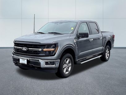 Used 2025 Ford F150 XLT w/ Equipment Group 301A Standard