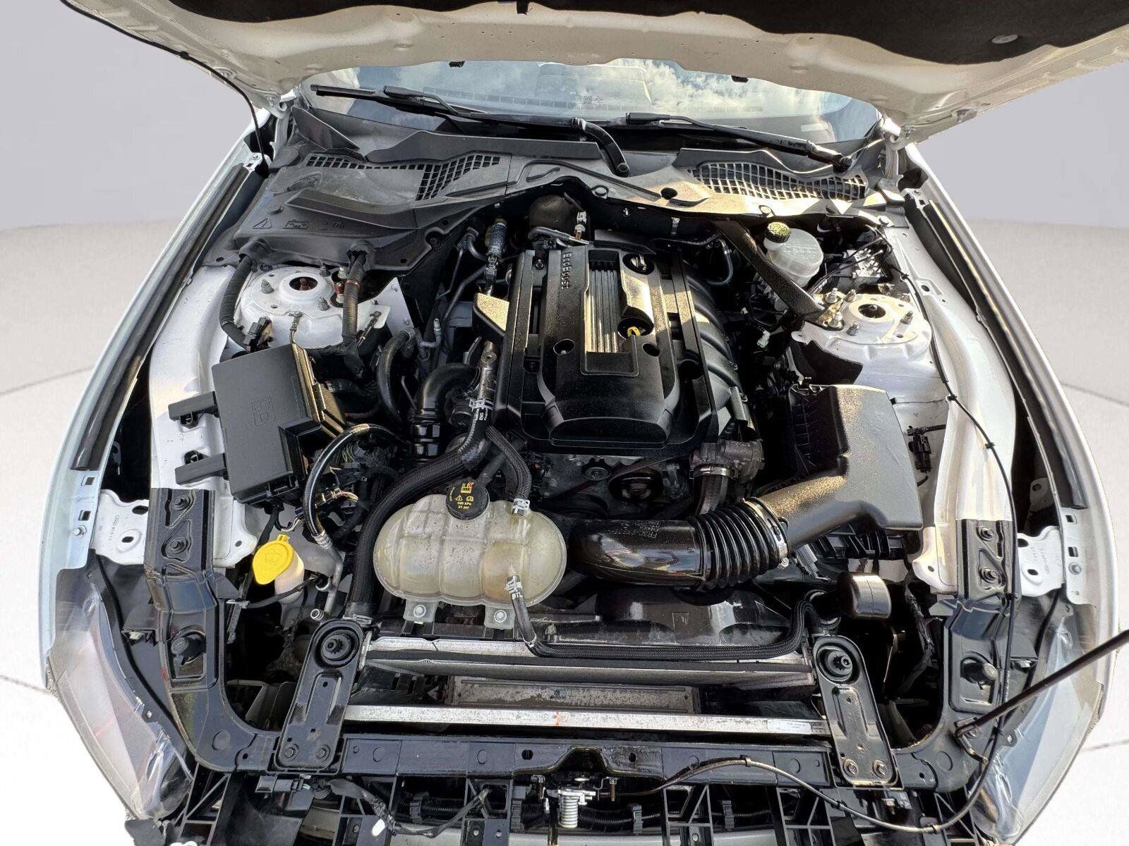 Used 2017 Ford Mustang Premium w/ Equipment Group 201A RWD image 54