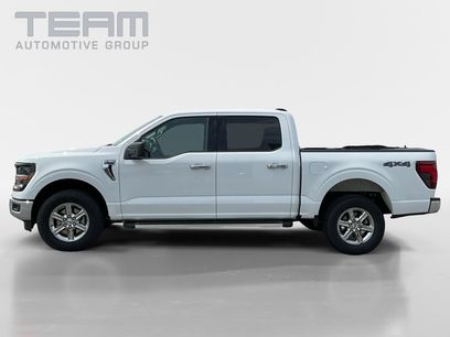 Used 2025 Ford F150 XLT w/ Equipment Group 301A Standard