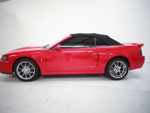 Used 2004 Ford Mustang Cobra RWD image 4