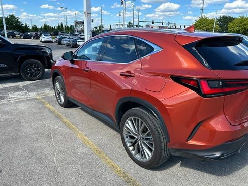 Used 2024 Lexus NX 350 AWD w/ Vision Package image 2