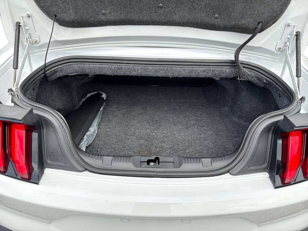 Used 2019 Ford Mustang Premium RWD image 14