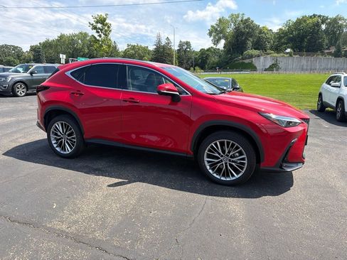 Used 2025 Lexus NX 350h AWD w/ Premium Package image 15