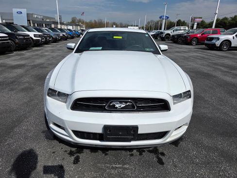 Used 2014 Ford Mustang Premium w/ Equipment Group 202A image 8