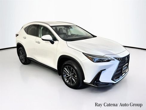 Certified 2024 Lexus NX 250 AWD w/ Cold Area Package image 1