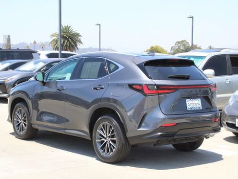 Certified 2025 Lexus NX 250 AWD w/ Cold Area Package image 19