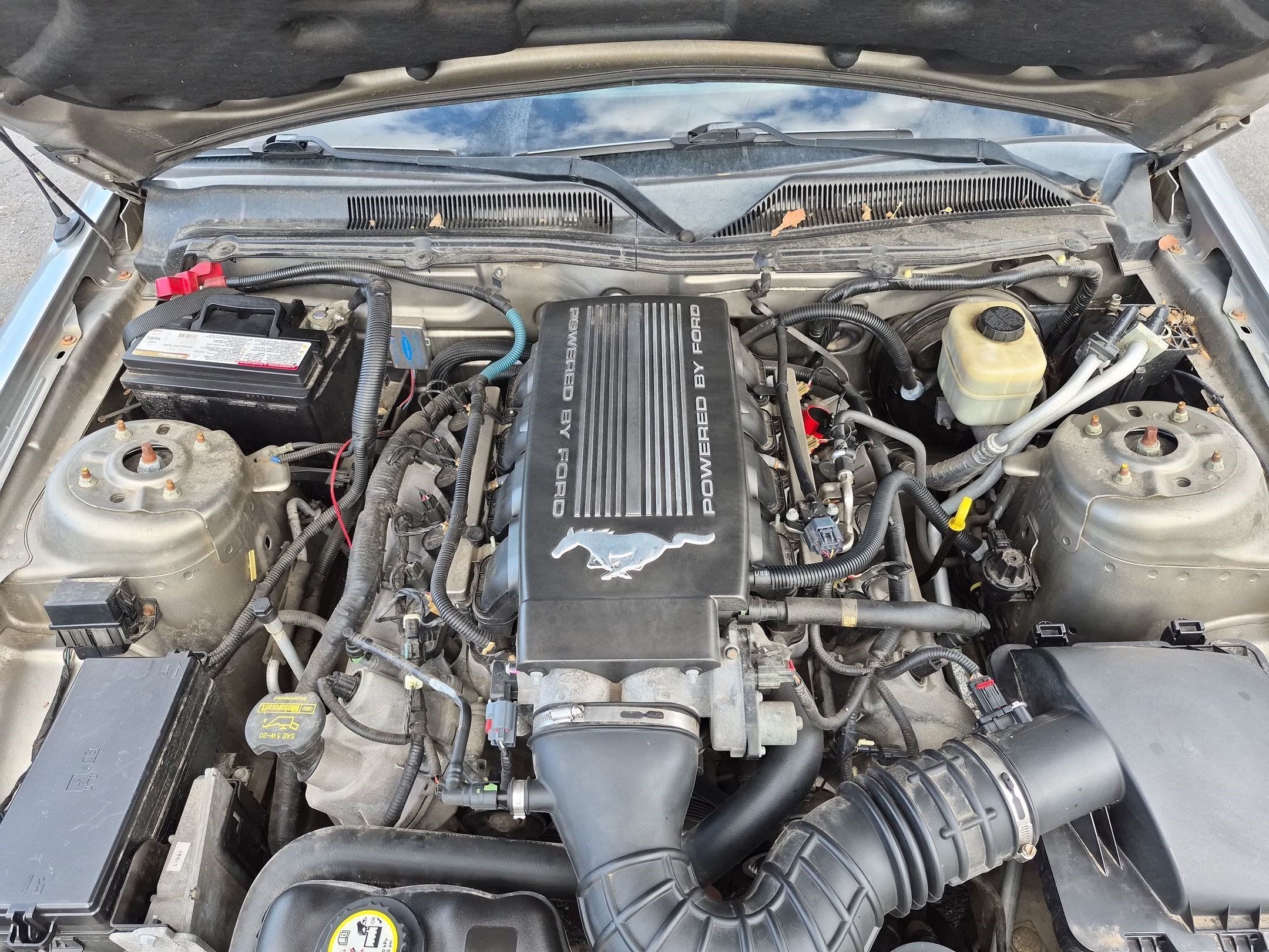 Used 2008 Ford Mustang GT Premium RWD image 31