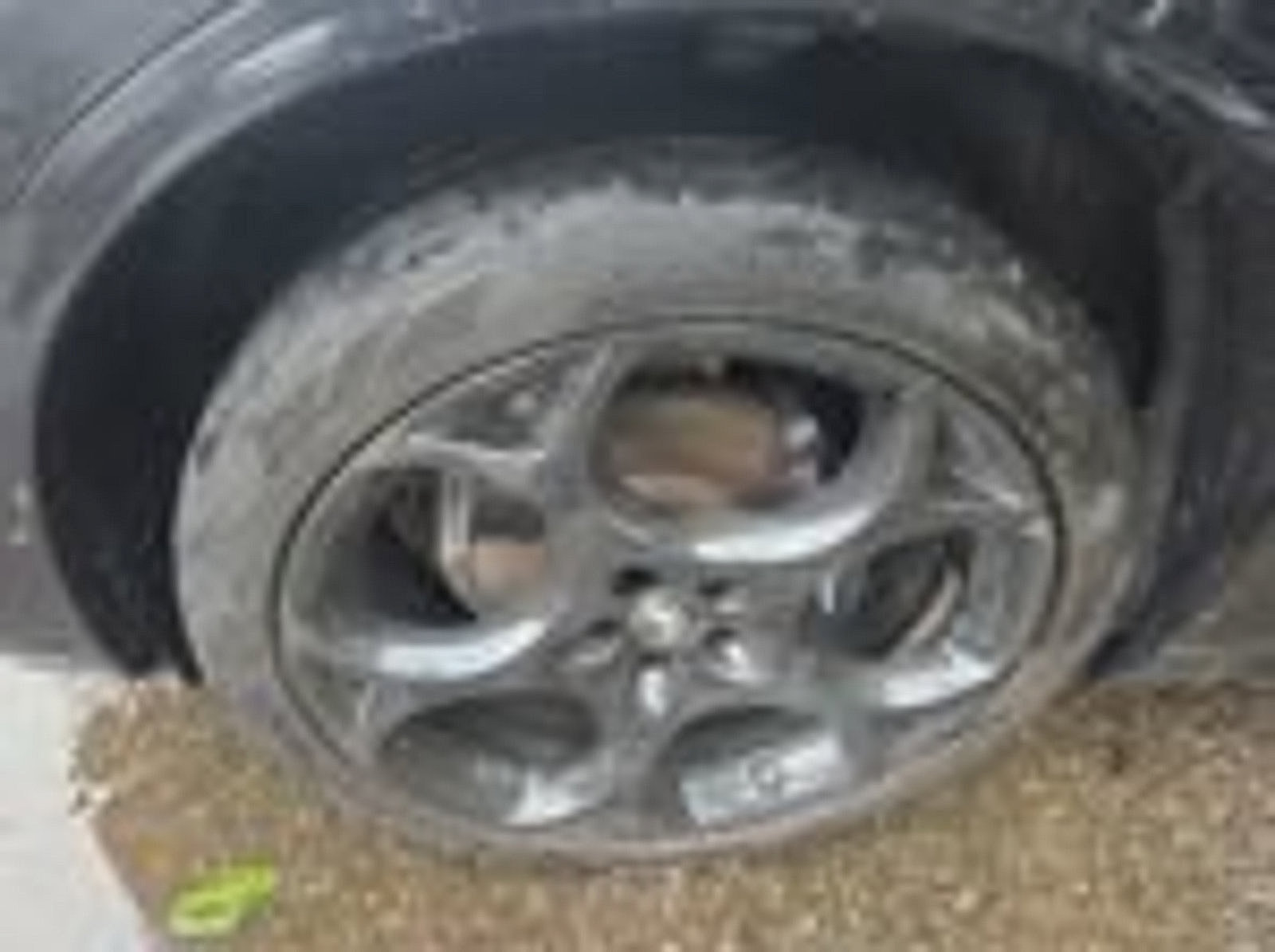 Used 2023 Alfa Romeo Stelvio Estrema AWD/4WD image 20