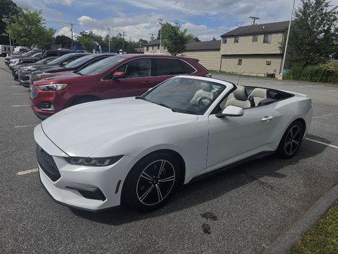 Used 2024 Ford Mustang Premium RWD image 6