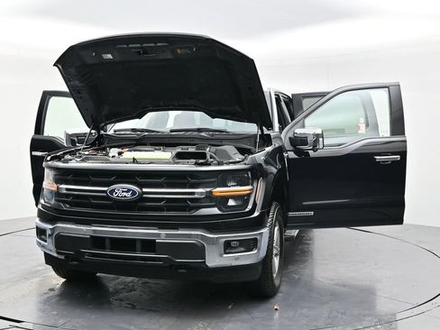 New 2025 Ford F150 XLT w/ Equipment Group 302A MID image 50