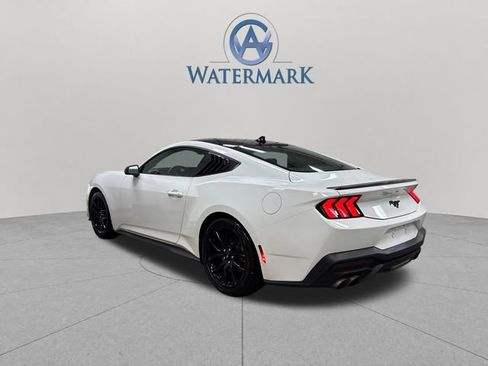Used 2025 Ford Mustang Coupe w/ Mustang Nite Pony Package RWD image 3