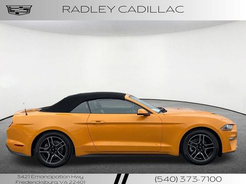 Used 2019 Ford Mustang Premium image 19