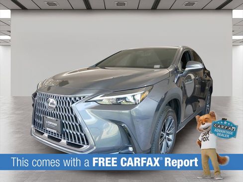 Certified 2024 Lexus NX 350 AWD w/ Cold Area Package image 2