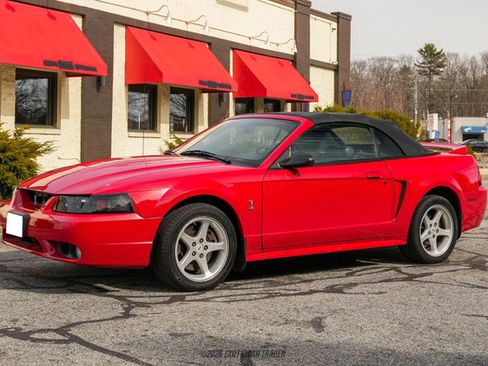 Used 1999 Ford Mustang Cobra RWD image 15