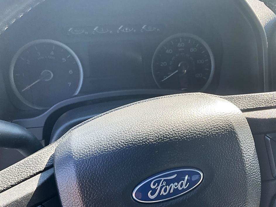 Used 2019 Ford F150 XLT w/ Equipment Group 302A Luxury AWD/4WD image 13