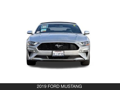 Used 2019 Ford Mustang Premium image 11