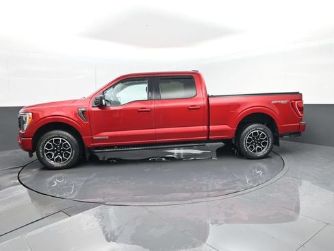 Used 2021 Ford F150 XLT w/ Equipment Group 302A High AWD/4WD image 5