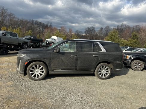 Used 2023 Cadillac Escalade Premium Luxury Platinum image 4