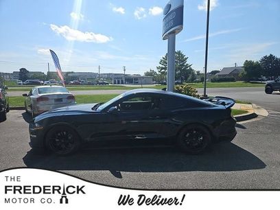 Used 2023 Ford Mustang GT Premium w/ Equipment Group 401A