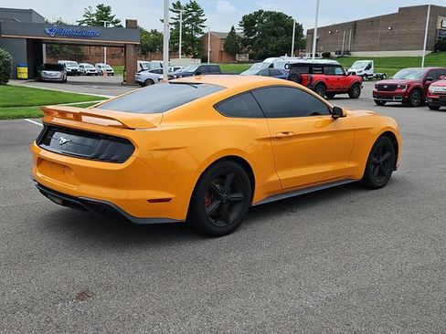 Used 2019 Ford Mustang Coupe w/ Ecoboost Performance Package RWD image 5
